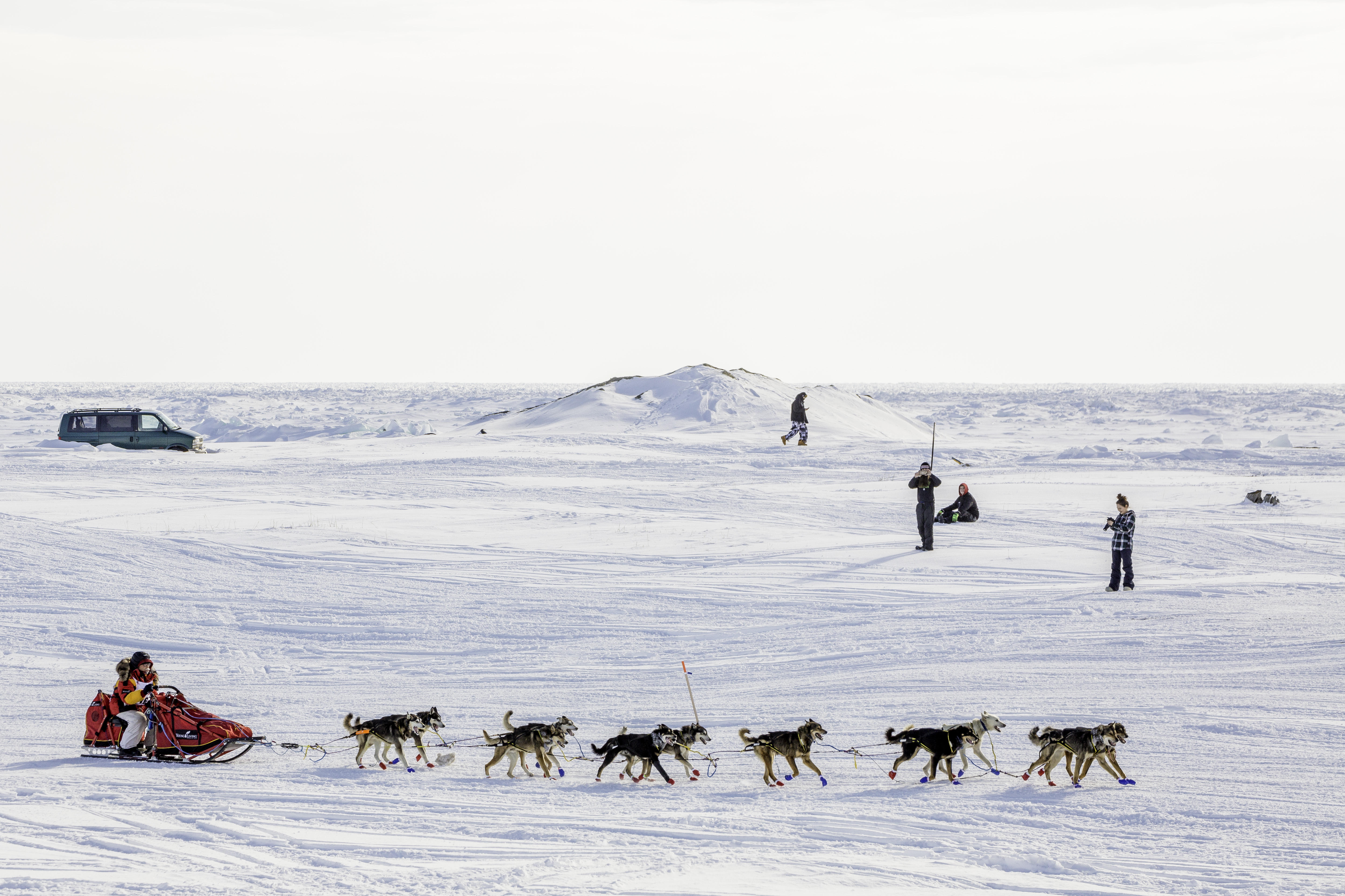 Iditarod 2017 musher and champ, Mitch Seavey, heads for the finish line in Nome.